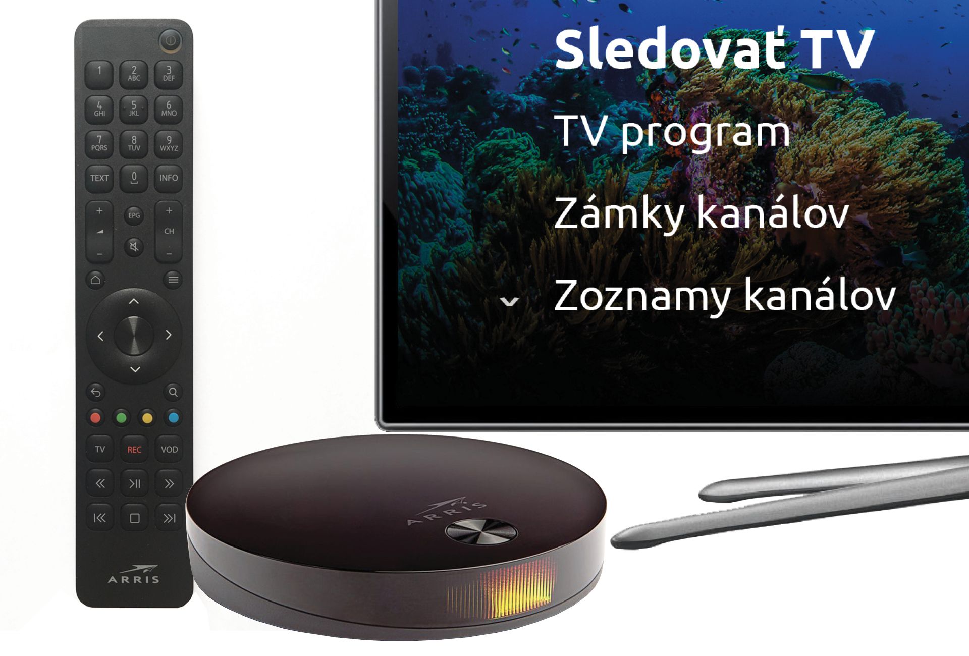 IPTV služby